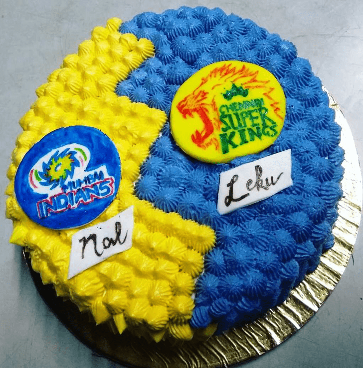 Delightful IPL Cake