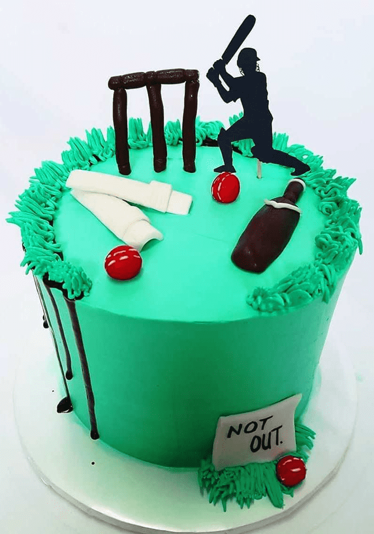 Handsome IPL Cake