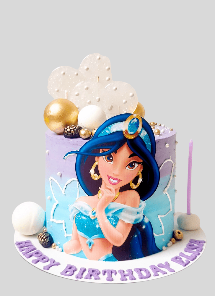 Comely Princess Jasmine Cake