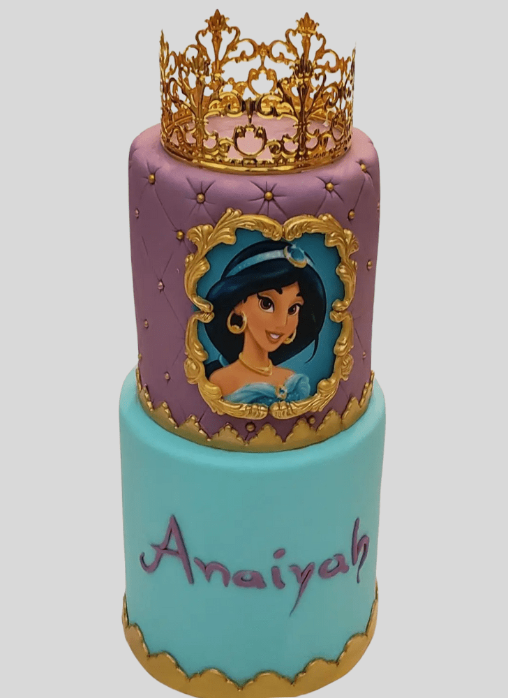 Magnetic Princess Jasmine Cake