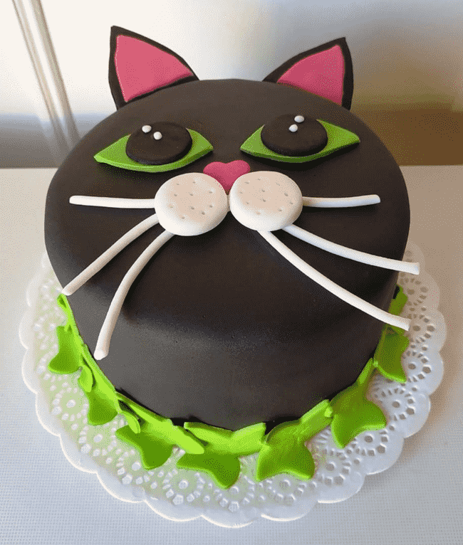 Divine Kitten Cake