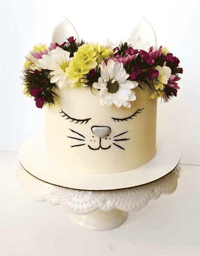 Fine Kitten Cake