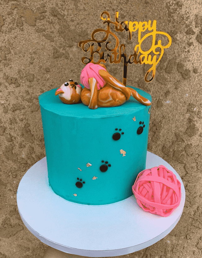 Handsome Kitten Cake