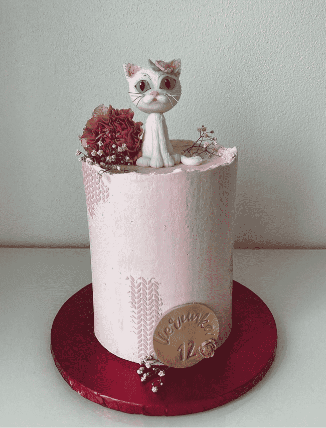 Ideal Kitten Cake
