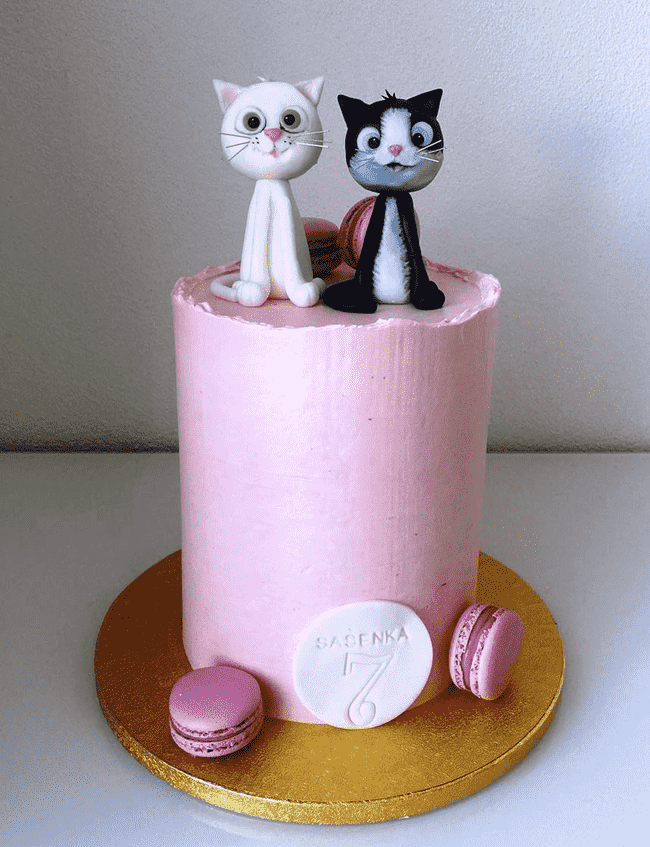 Lovely Kitten Cake Design