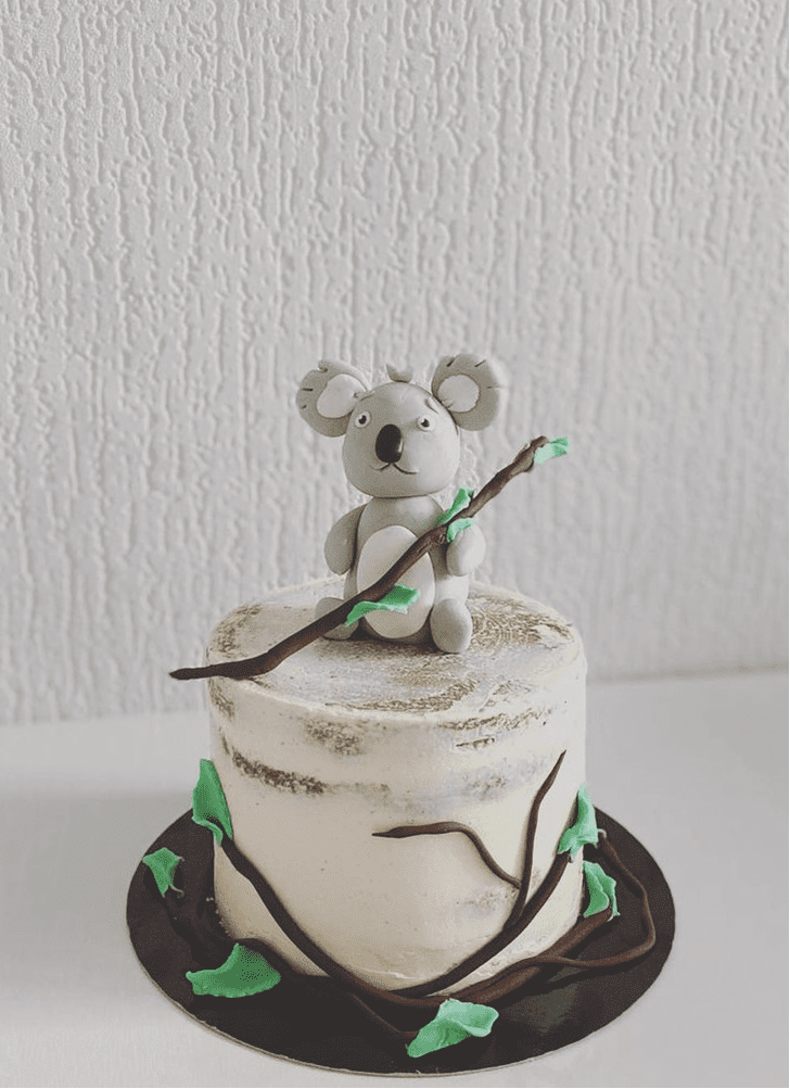 Handsome Koala Cake