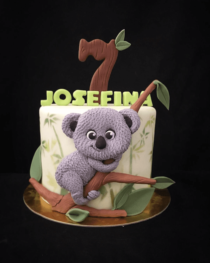 Superb Koala Cake