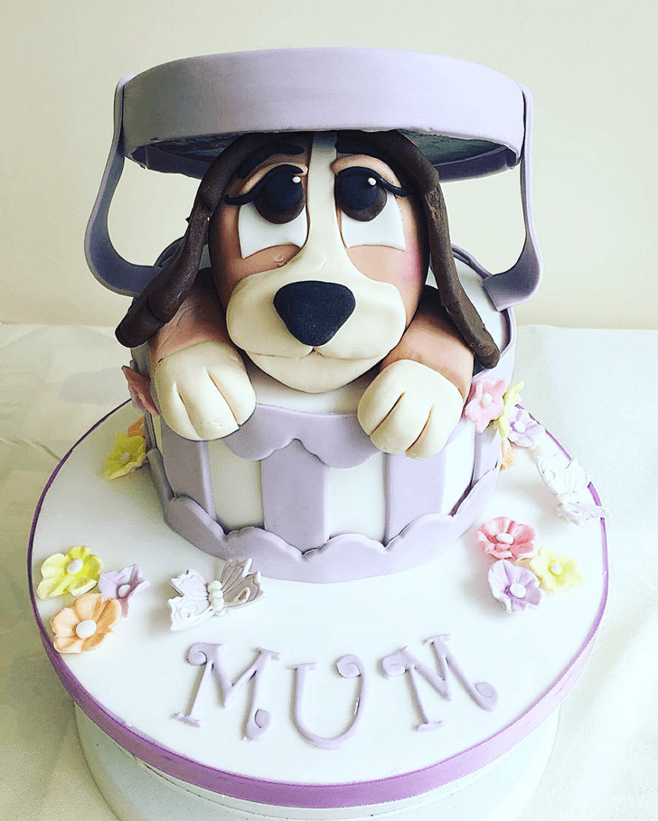 Mesmeric Lady and the Tramp Cake