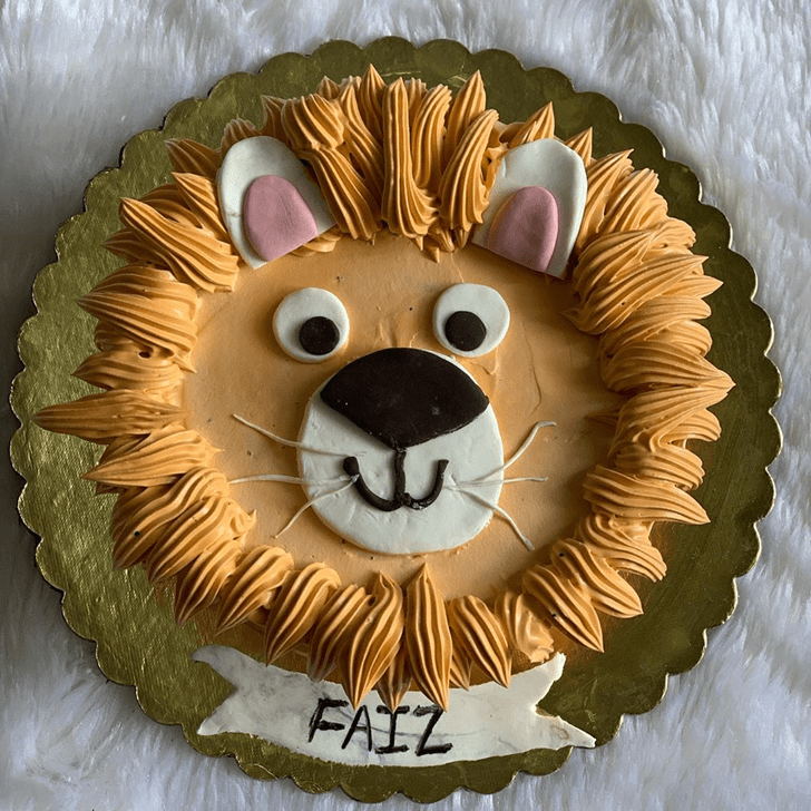 Magnetic Lion Cake