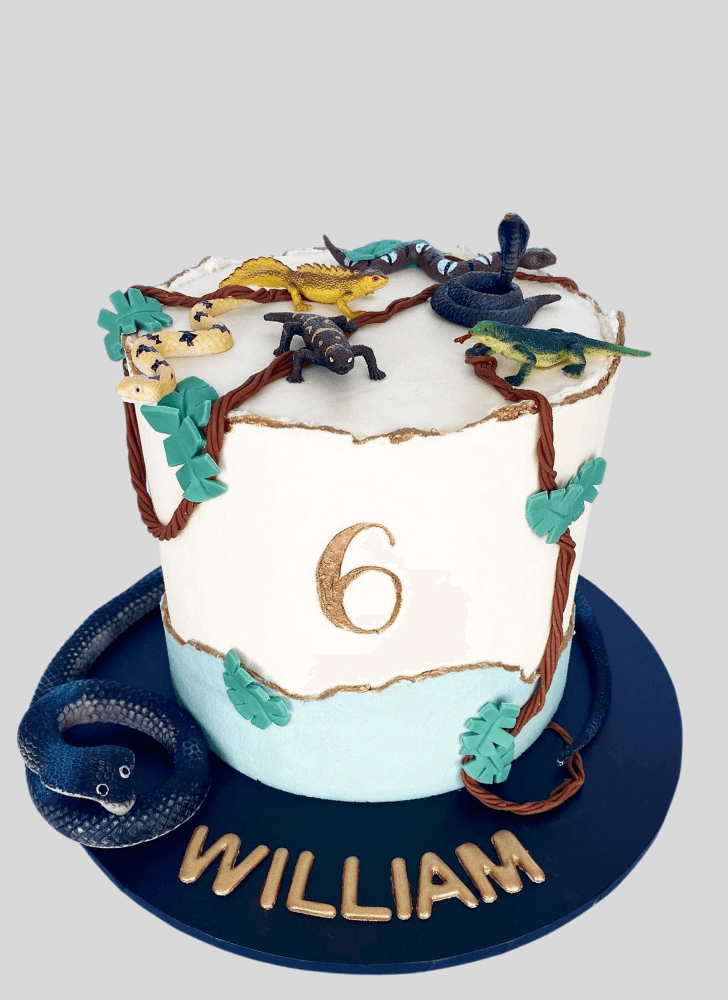 Divine Lizard Cake