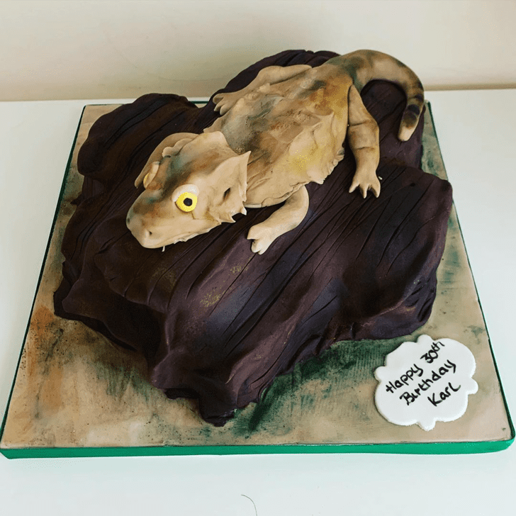 Delicate Lizard Cake