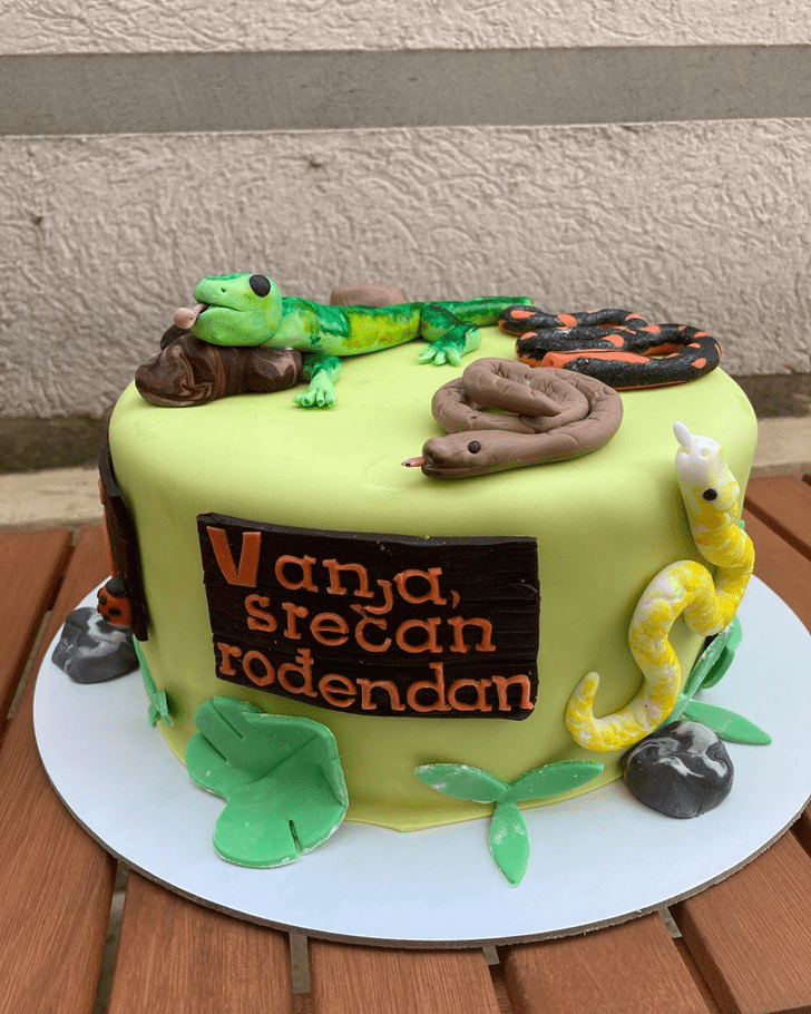 Handsome Lizard Cake