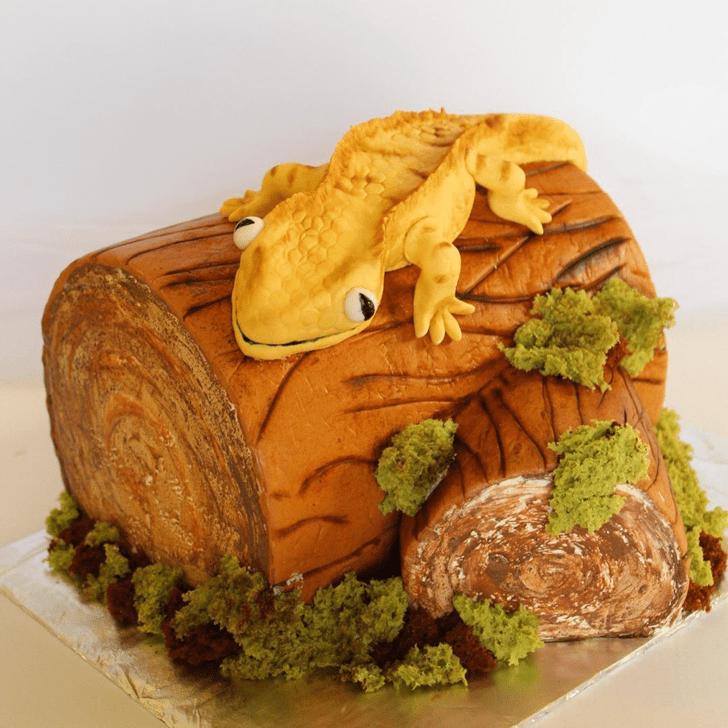 Magnetic Lizard Cake