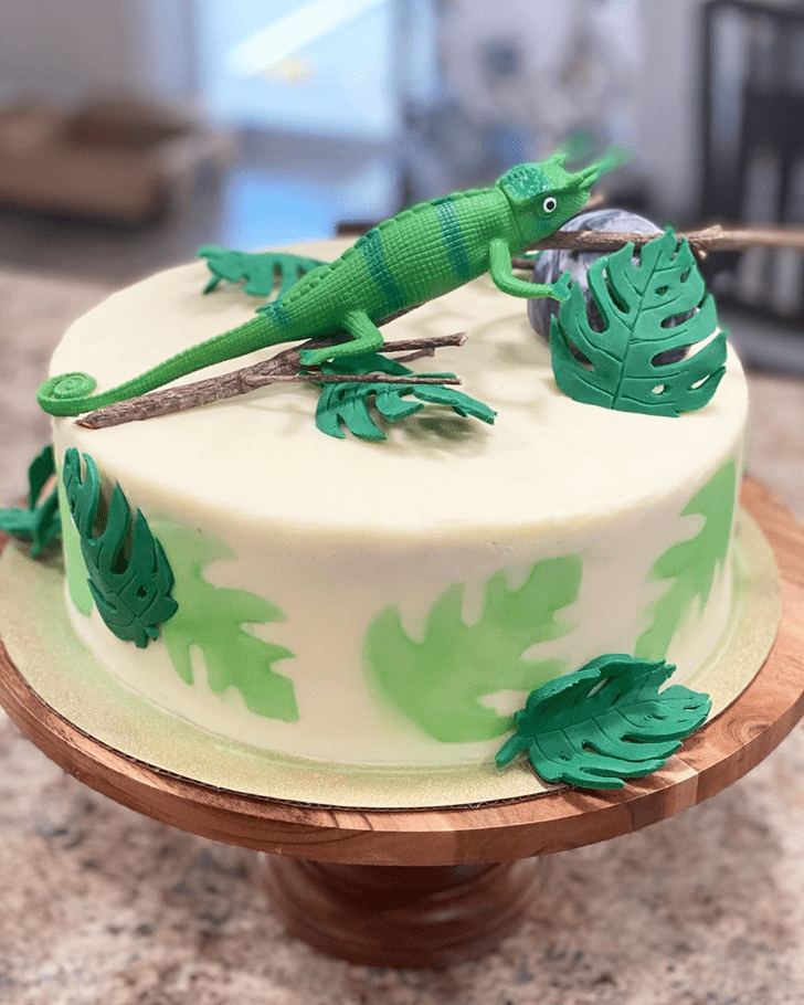 Pretty Lizard Cake