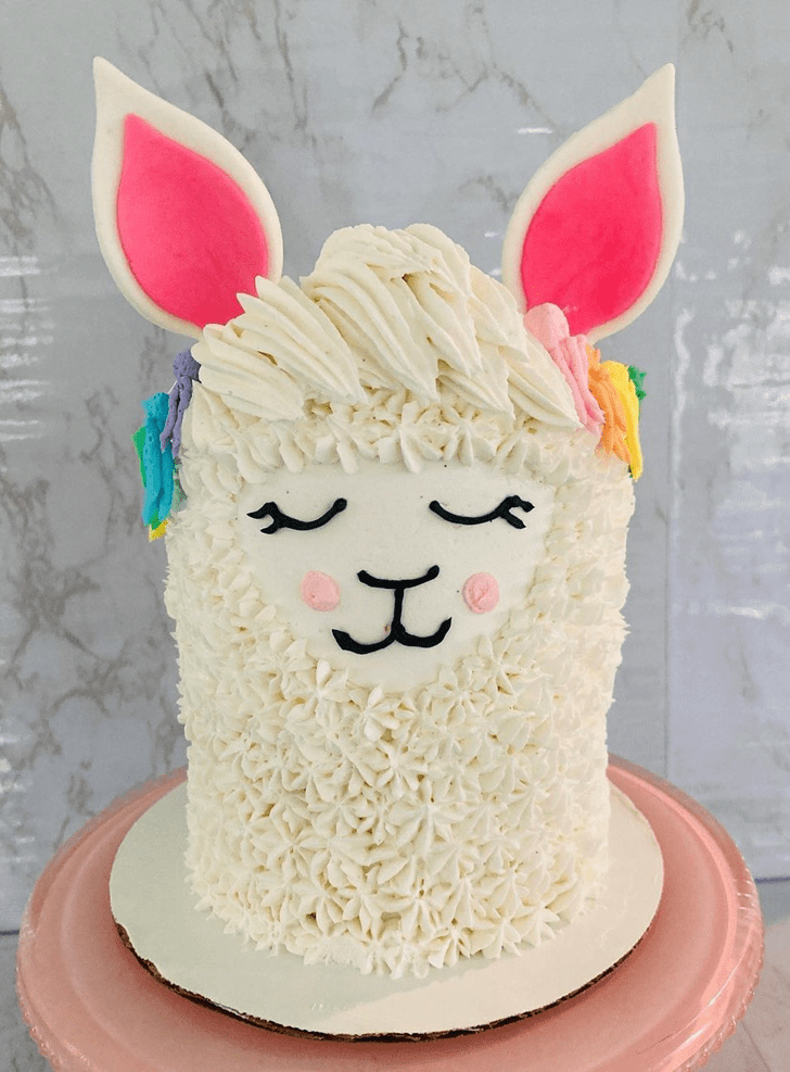Delightful Llama Cake