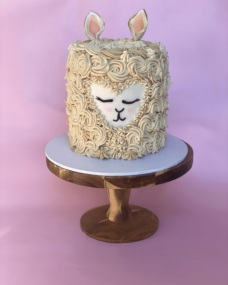 Enticing Llama Cake