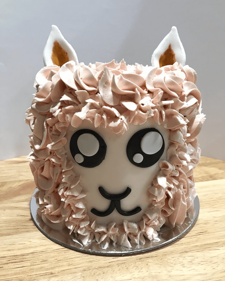 Wonderful Llama Cake Design