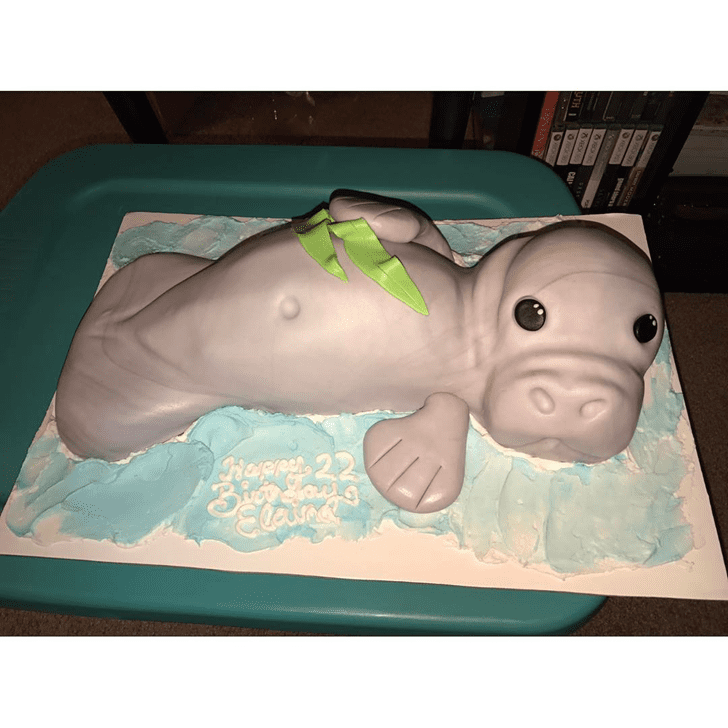 Comely Manatee Cake