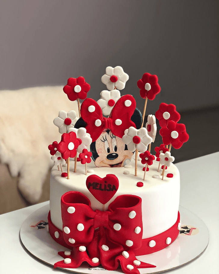 Magnetic Micky Mouse Cake
