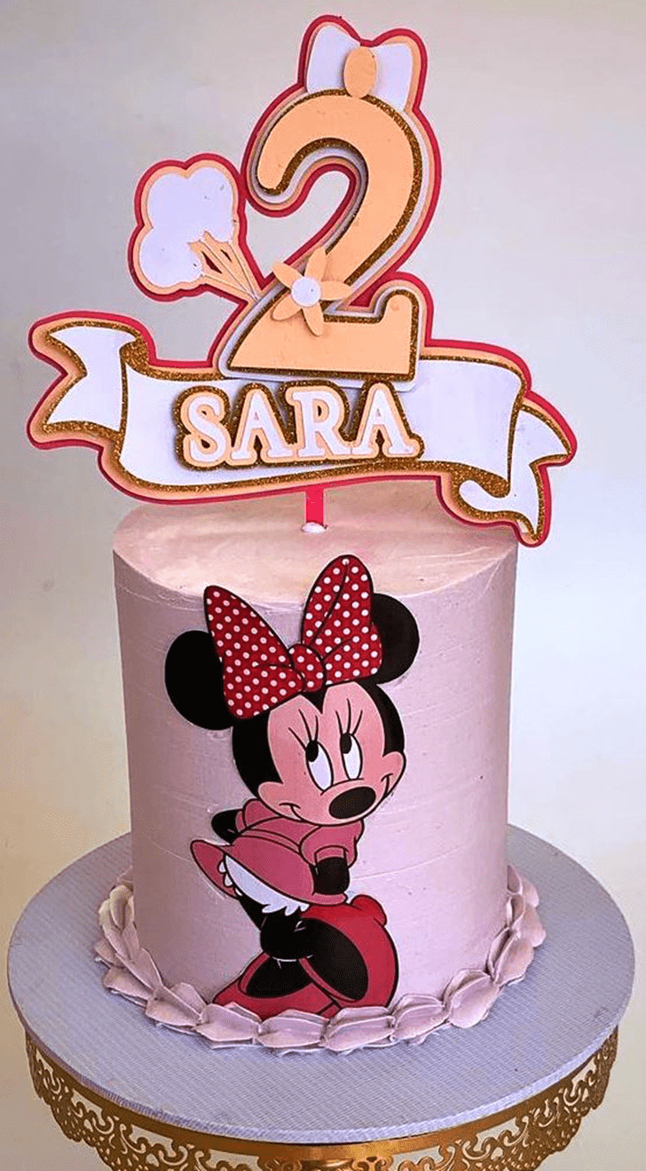 Fine Mini Mouse Cake