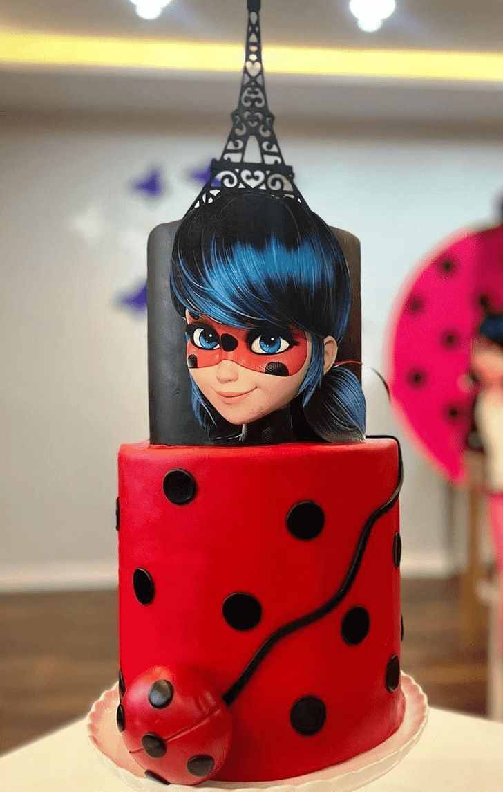 Fair Miraculous Ladybug Cake