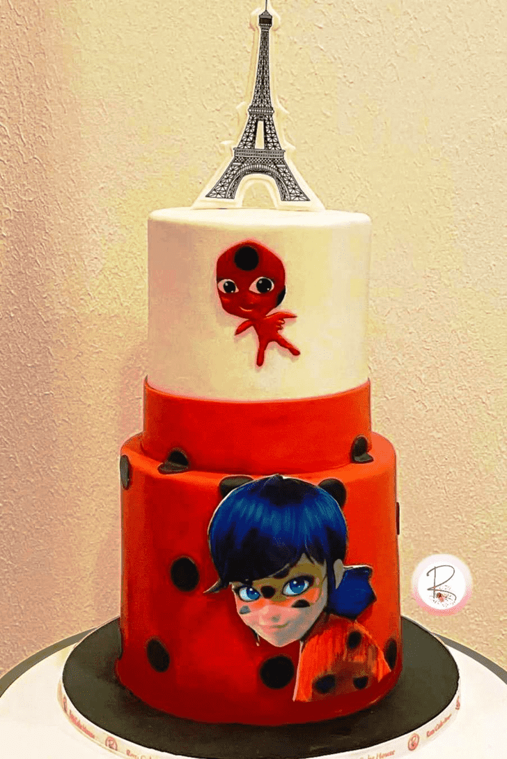 Magnetic Miraculous Ladybug Cake