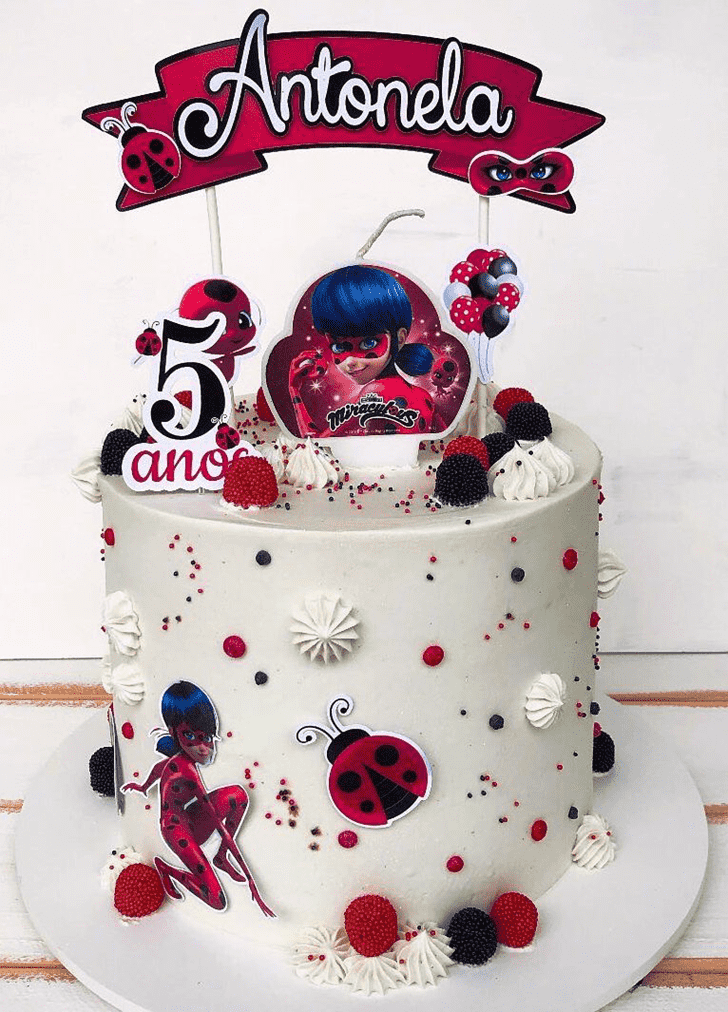 Slightly Miraculous Ladybug Cake