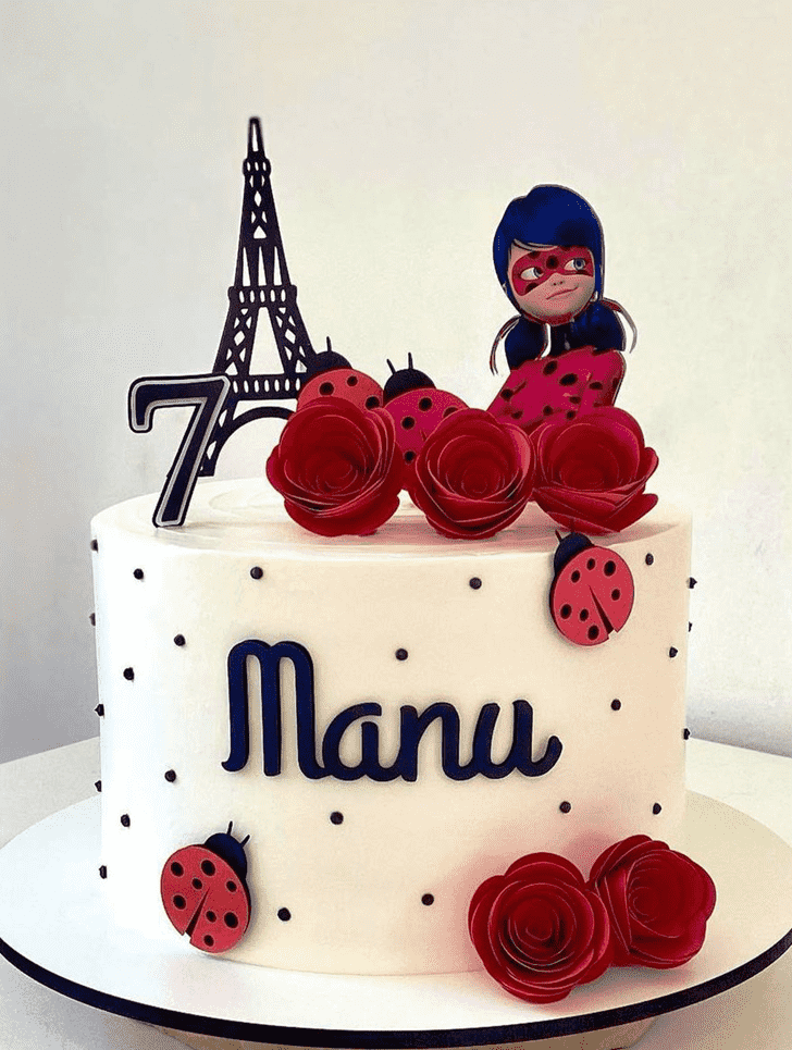 Splendid Miraculous Ladybug Cake