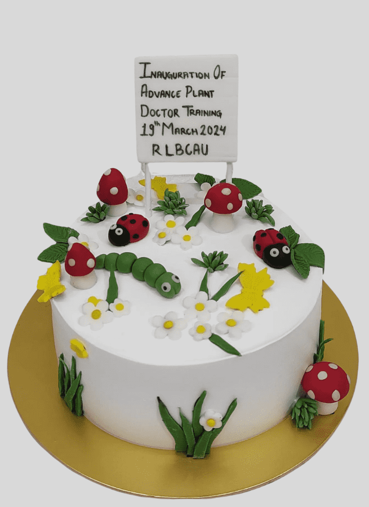 Admirable Mushroom Cake Design