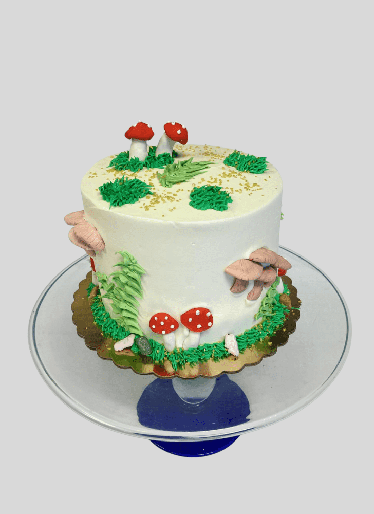 Handsome Mushroom Cake