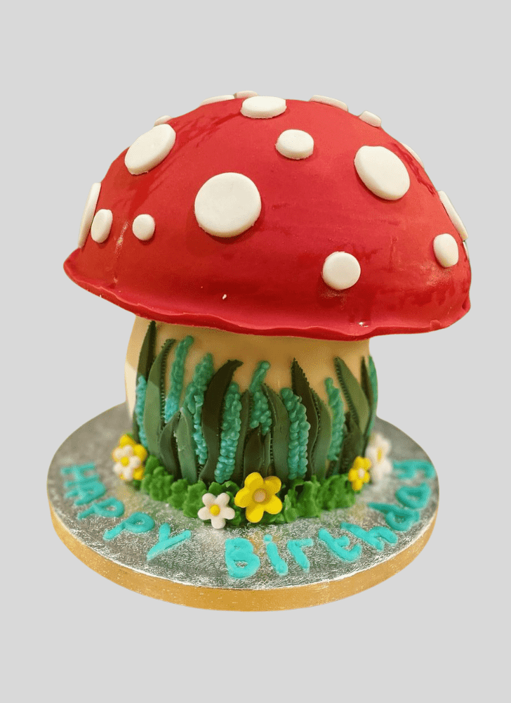 Mesmeric Mushroom Cake