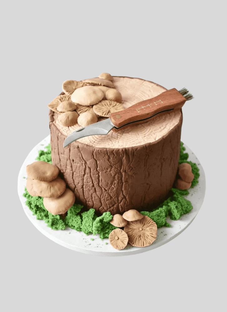 Slightly Mushroom Cake