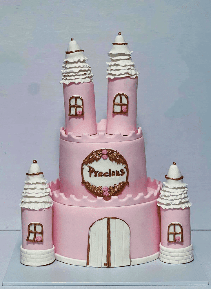 Appealing New Castle Cake