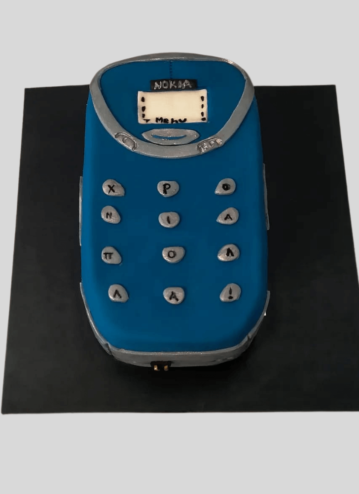 Beauteous Nokia Cake