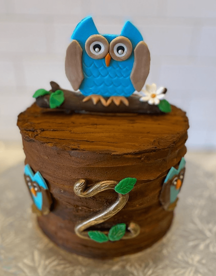 Admirable Owl Cake Design