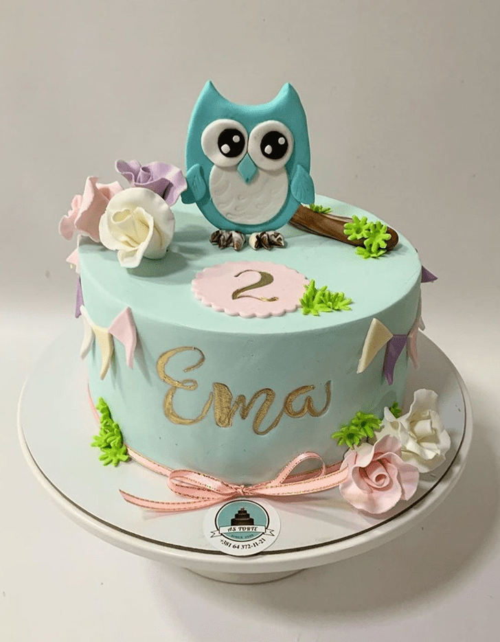 Appealing Owl Cake