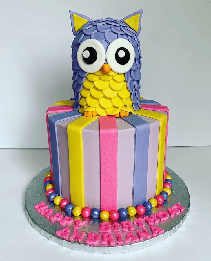 Bewitching Owl Cake