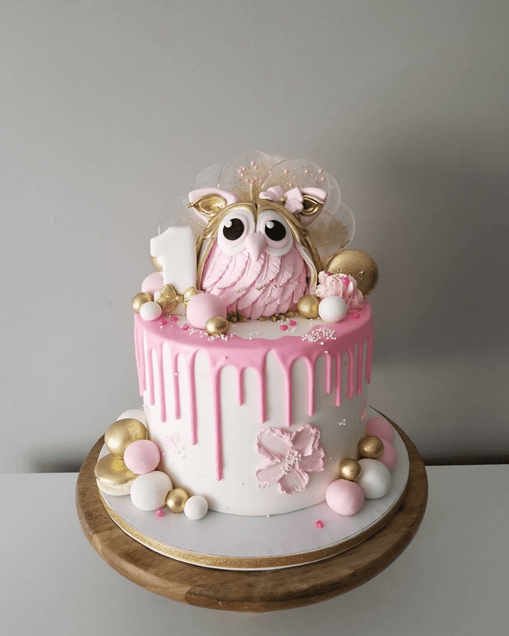 Charming Owl Cake