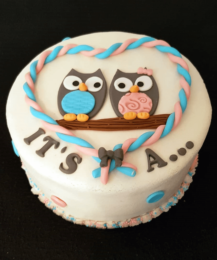 Classy Owl Cake