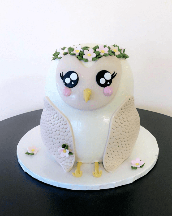 Comely Owl Cake