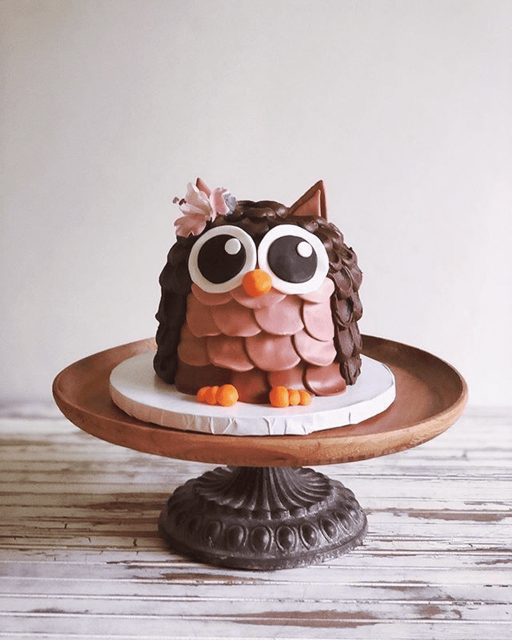 Cute Owl Cake