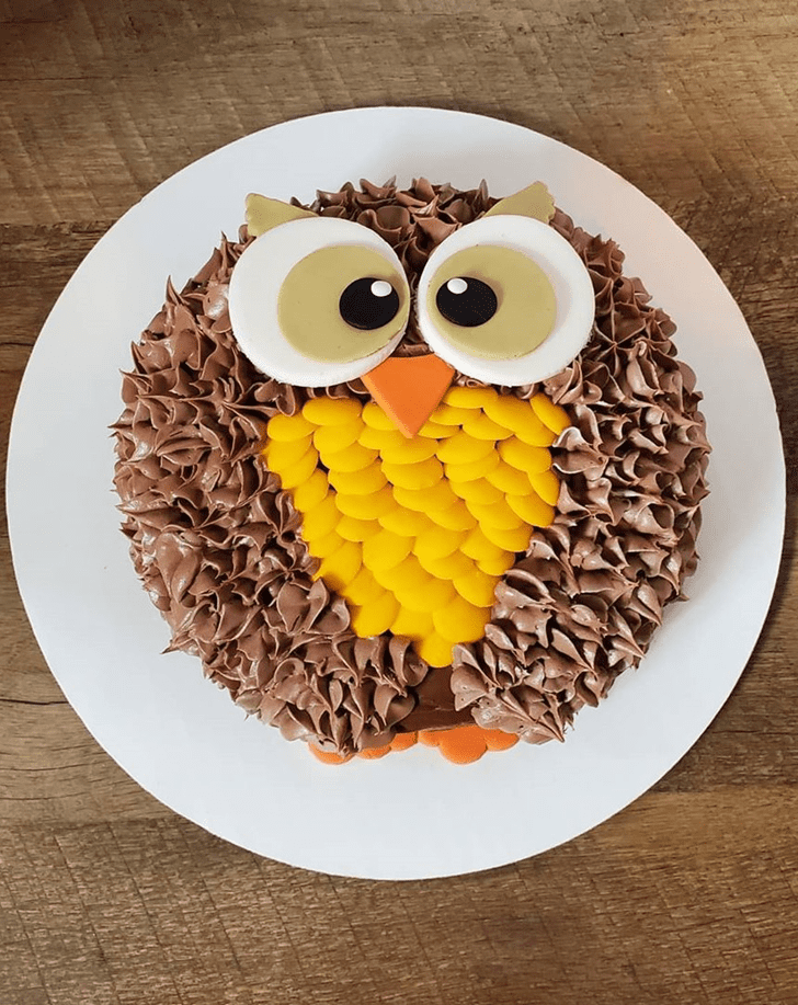 Dazzling Owl Cake