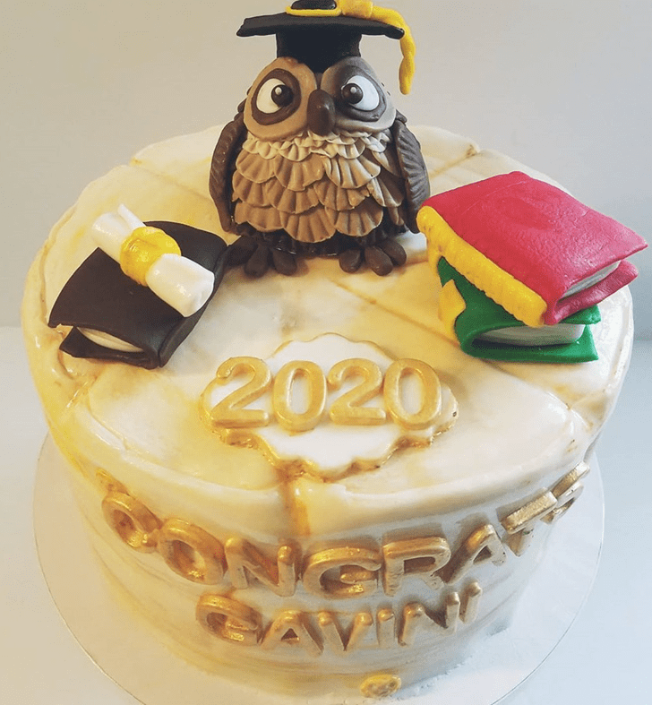 Delightful Owl Cake