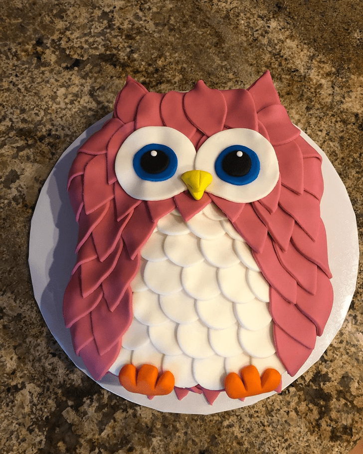 Enticing Owl Cake