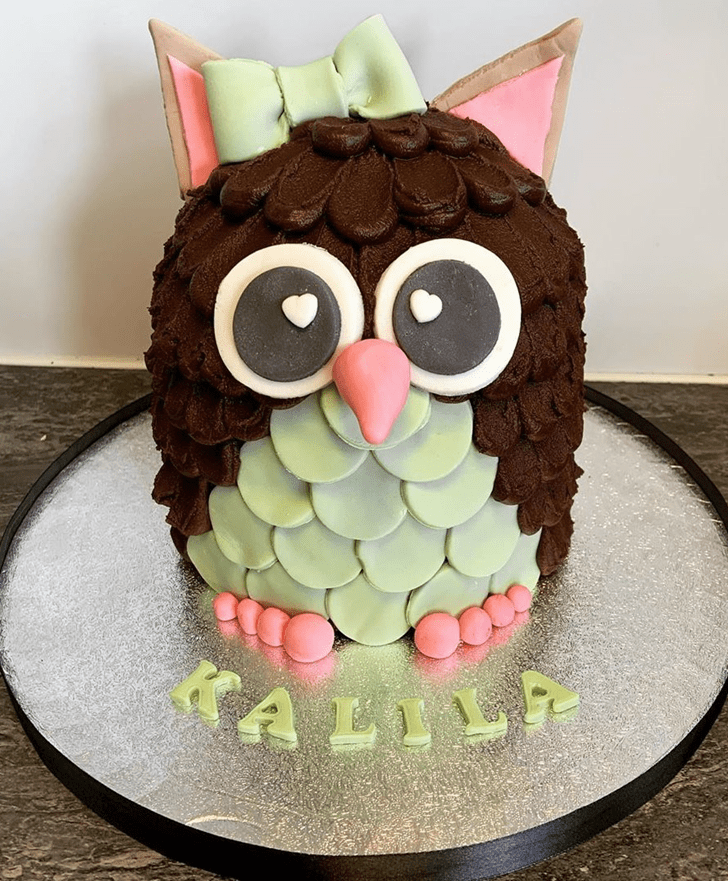 Fair Owl Cake