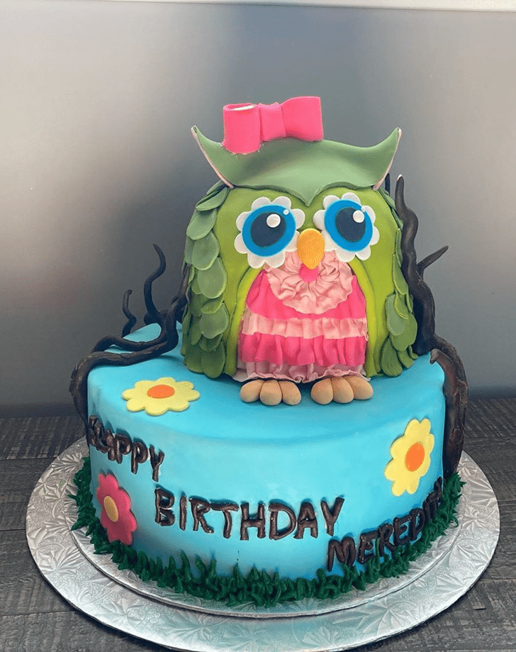 Fascinating Owl Cake