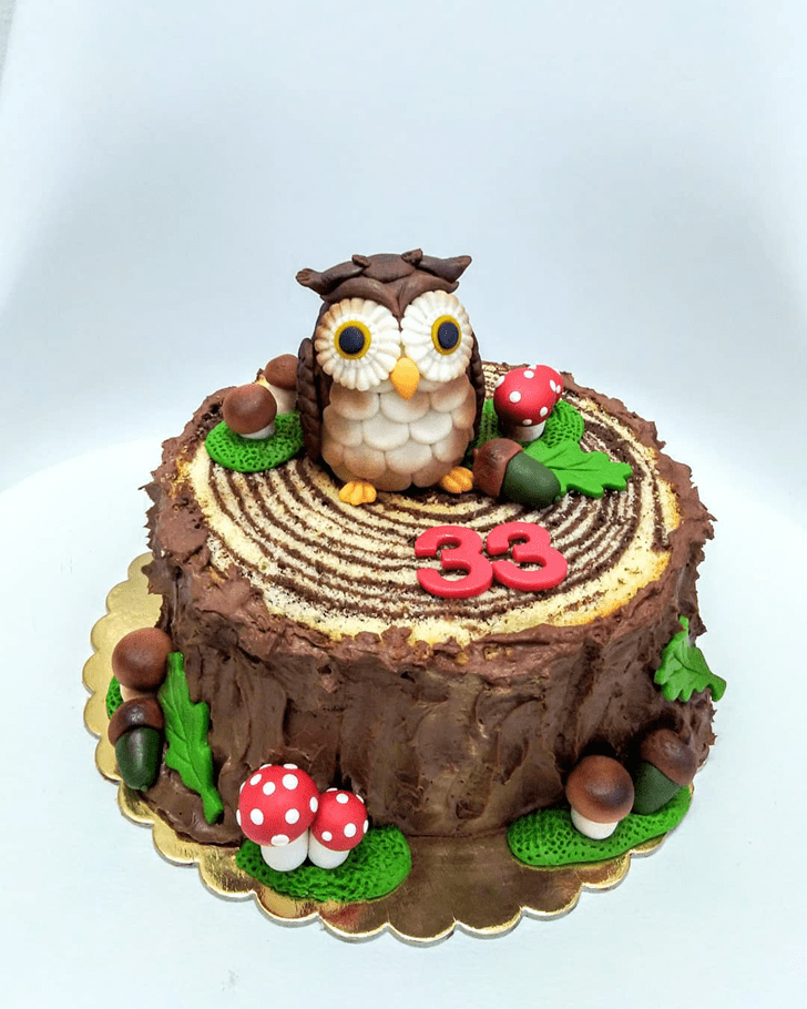Fine Owl Cake