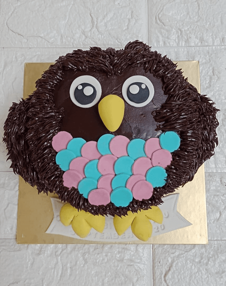 Good Looking Owl Cake