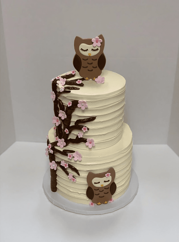 Grand Owl Cake