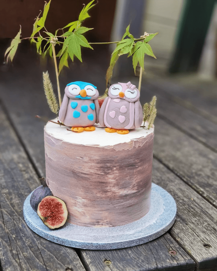 Ideal Owl Cake